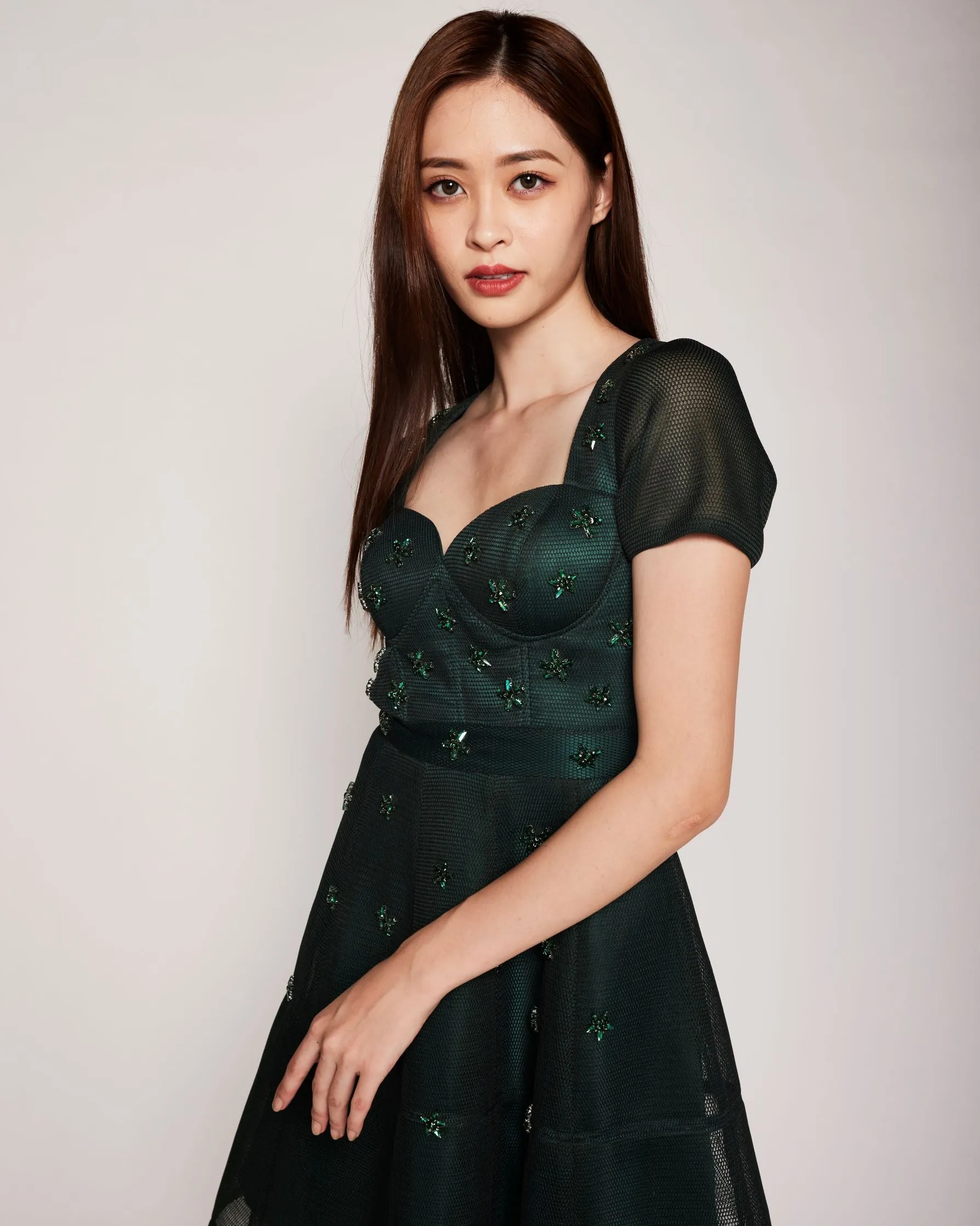 Georgia Embellished Dress
