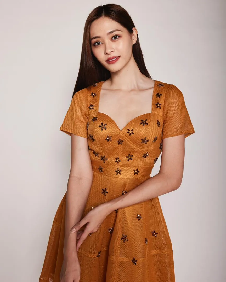 Georgia Embellished Dress